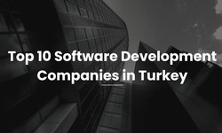 Top 10 Software Development Companies in Turkey