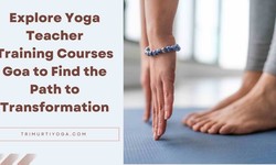 Explore Yoga Teacher Training Courses Goa to Find the Path to Transformation
