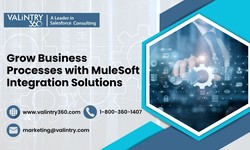 Grow Business Processes with MuleSoft Integration Solutions