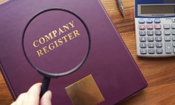 Step-by-step process for Company Registration in Netherlands