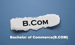 What Is The Difference Between B.Com Honours And B.Com?