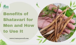 Benefits of Shatavari for Men and How to Use It