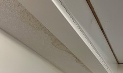 Fighting Attic Hatch Drips: A Guide for Homeowners in Edmonton