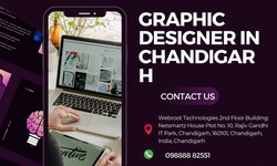 Your Premier Graphic Design and Web Development Company in Chandigarh