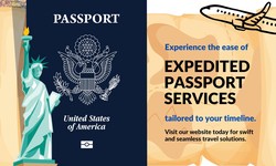 Navigating the Passport Rush: Insights from Expedited Passports and Visas