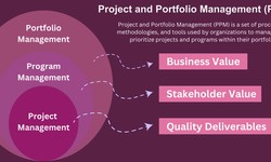 Top Software for Project Portfolio Management (PPM Tools)
