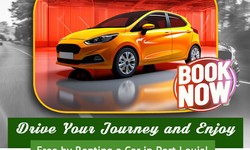 How To find The Best Car Rental In Port Louis?