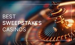 What are the guidelines for choosing Online Sweepstakes Software?