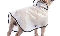 Winter Warmth: Top Picks for Dog Coats in Australia