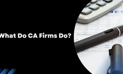 What Do CA Firms Do?