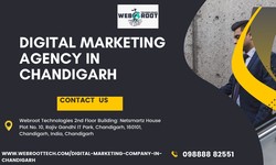 Digital Marketing Company & SEO Agency in Chandigarh – Your Reliable Partners