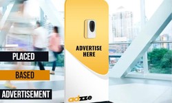 Optimizing Placed-Based Advertising: Unveiling the Best Practices