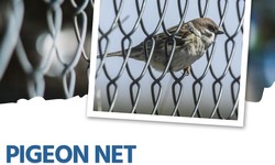 Top Pigeon Net for Balcony in Mohan Nagar | Rajnagar Extension