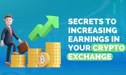Secrets to Increasing Earnings in Your Crypto Exchange Platform