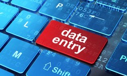 Criteria for Selecting Top Data Entry Services