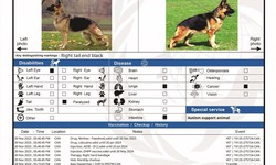 Why should we use World Ipassa Organization (WIO) online services to register our animals?