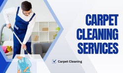 Carpet Cleaning Cronulla: Revitalize Your Space with Professional Care