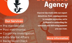 Innovations in Private Investigations: Ion Detective Agency's Approach