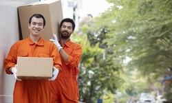 How to Pick the Right Moving Company: A Comprehensive Guide