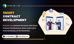 A Beginner's Guide on How Does Smart Contract Development Work ?