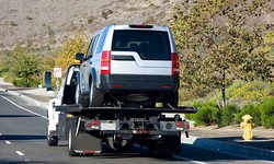 Road-Ready: Expert Auto Transport Services with Coastal Car Transport