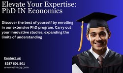 Unveiling the Roadmap to Success: Navigating a PhD in Economics Program
