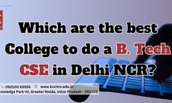 Which are the best colleges to do a B. Tech CSE in Delhi NCR?