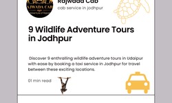 9 Wildlife Adventure Tours in Jodhpur