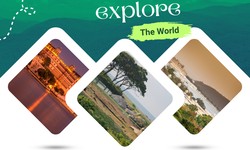 9 Wildlife Adventure Tours in Udaipur