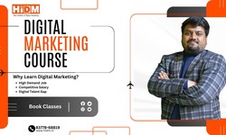 Best Digital Marketing Institute in Hisar