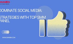 Mastering Social Media: Effective Strategies Using the Best SMM Panel