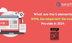 What Are the 5 Elements HTML Development Services Provide in 2024?