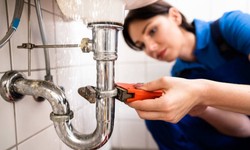 Unraveling the Excellence of Doyle Plumbing Group: Your Go-To for Plumbing Services in Brighton