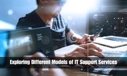 Exploring Different Models of IT Support Services