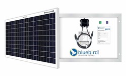 Unveiling the Potential: 50 Watt Solar Panel Systems