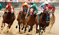 Investing 101: How to Choose the Right Racehorse Shares