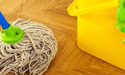 Unlock the Beauty of Your Floors with Premier Tile Cleaning's Professional Floor Cleaning Services