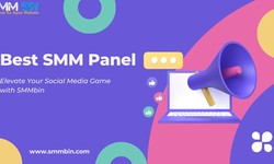 Unlocking Social Media Success: Why SMMbin Reigns as the Ultimate SMM Panel