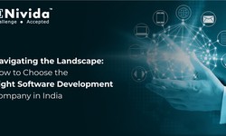 Navigating the Landscape: How to Choose the Right Software Development Company in India