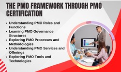 Gaining Knowledge of The PMO Framework through PMO Certification