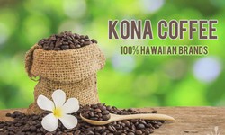 From Bean to Cup: The Journey of the Best Kona Coffee: