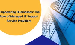 Empowering Businesses: The Role of Managed IT Support Service Providers