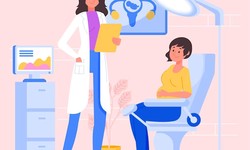 Exploring Excellence: Locating the Top Gynaecologist in Patna