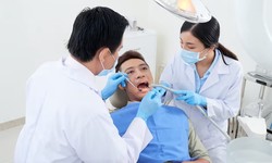The Power of a Targeted Dentist Email Database
