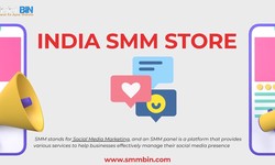 Enhancing Your Online Visibility: Unveiling the Influence of India's SMM Panels