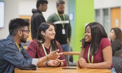 How Does the High School System Work in Mississauga?
