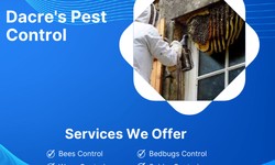 Dacre's Pest Control: Banishing Bugs, Beasts, and Beyond!