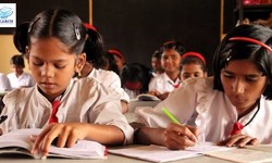 The Role Of Ngos Working For Children's Education