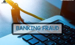 Navigating the Legal Terrain: What Are the Challenges for Bank Fraud Investigators?
