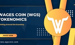 Wages Coin Tokenomics: Getting Around the Economy